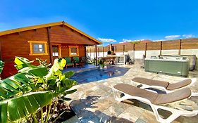 Canary Wild House 2
